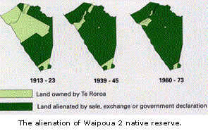Waipoua 2 alienation