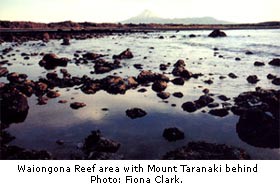 Waiongona Reef area with Mount Taranaki behind